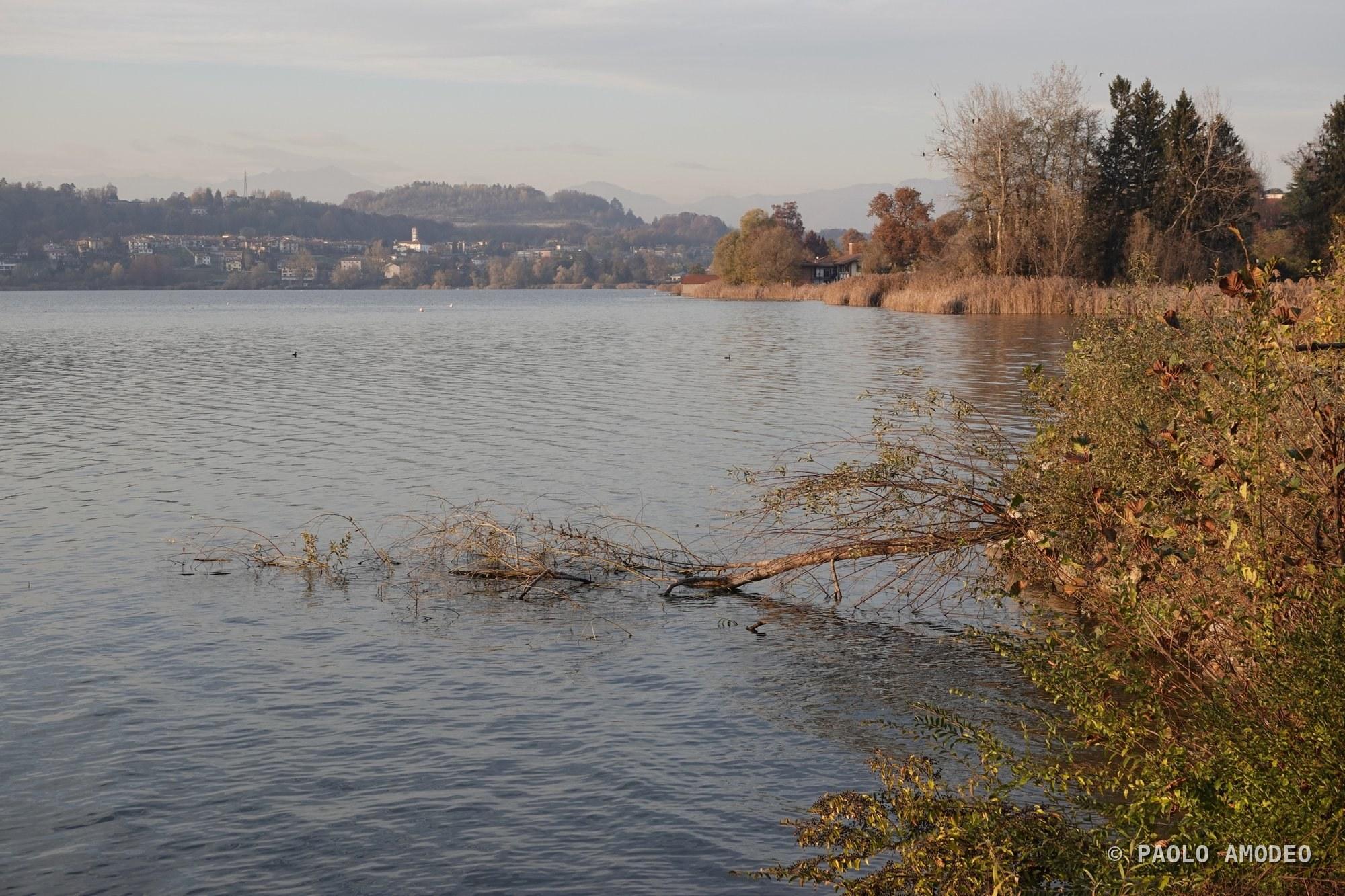 Riva del lago tra i cespugli autunnali