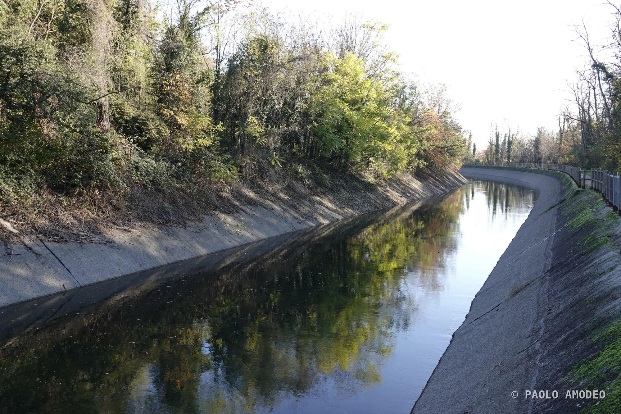 Canale alberato specchiato nell'acqua