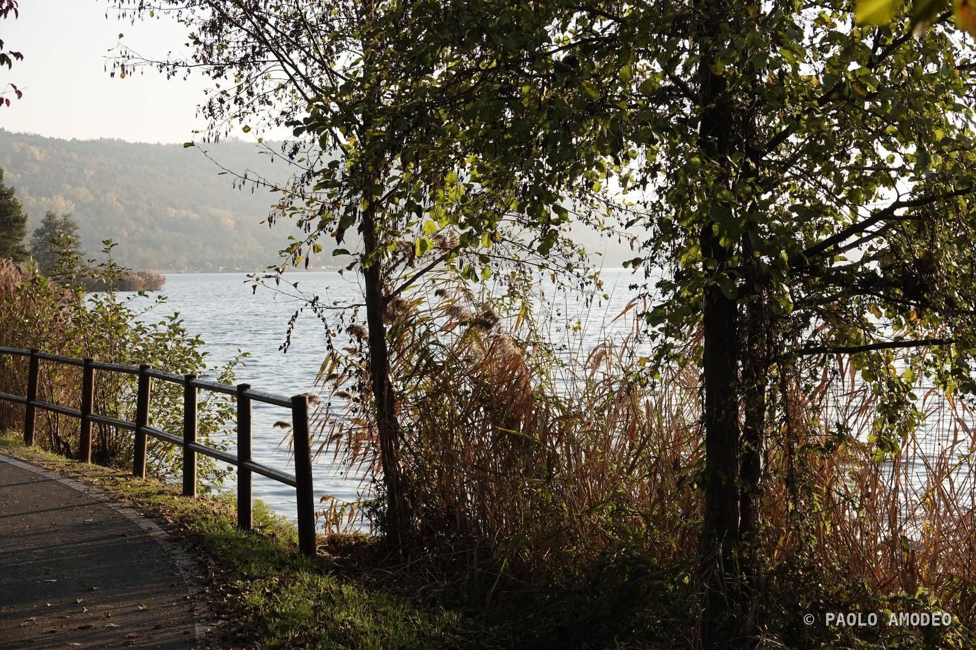 Sentiero costeggiato dal lago e dagli alberi
