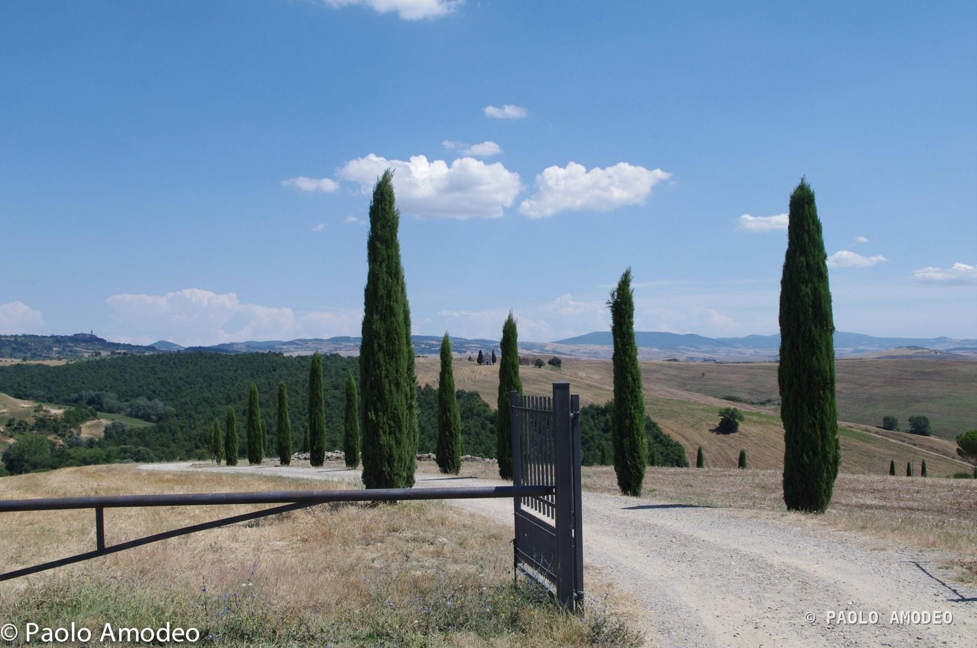 Viale di cipressi nella campagna